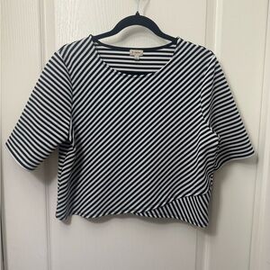 Daniel Cremieux Navy and White Diagonal Striped Cropped Top